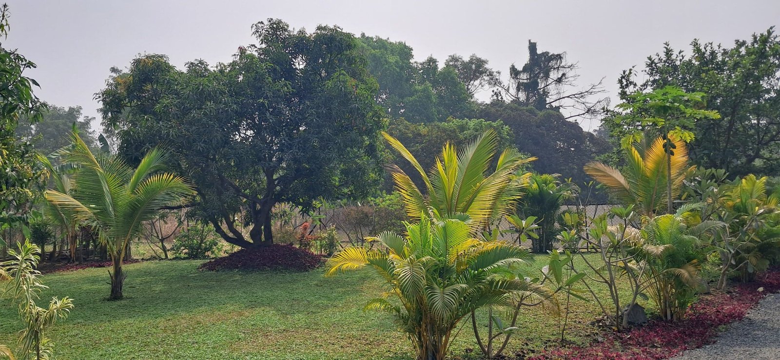 Casa Frangipani – Lawn